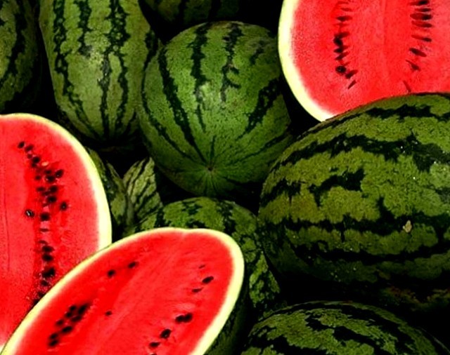 Кавун звичайний