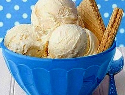 Історія морозива