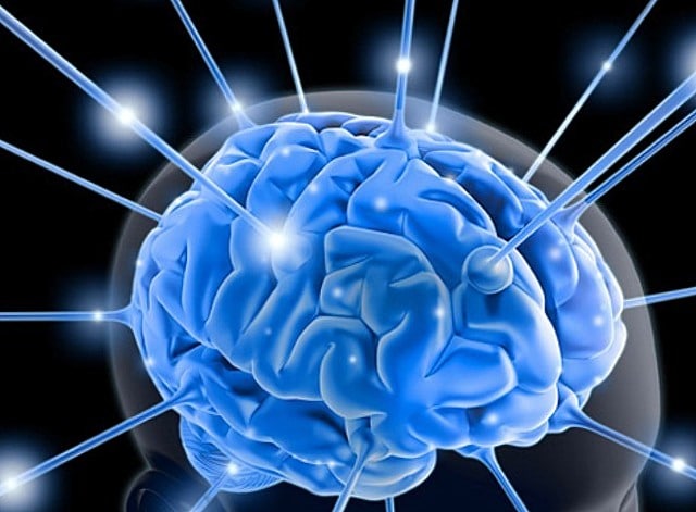 Дивний мозок