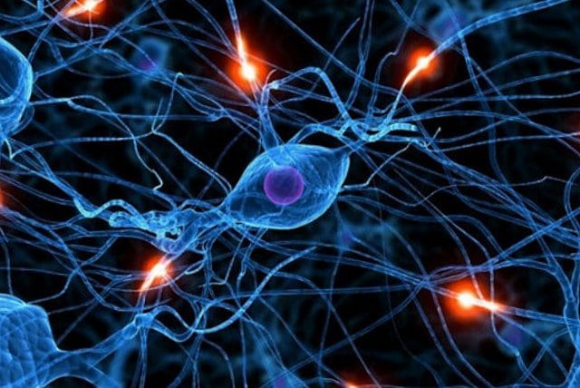 Вселенська структура