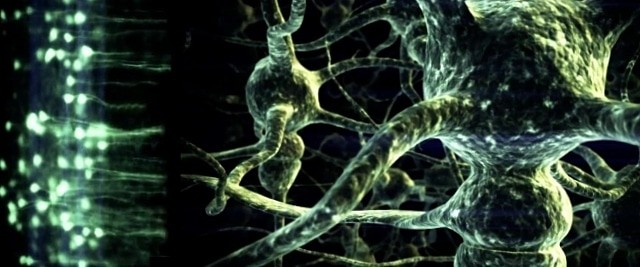 Вселенська структура