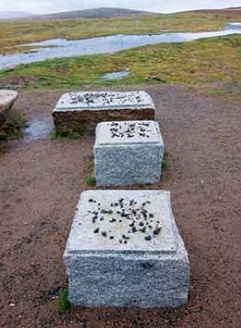 Матриця предків