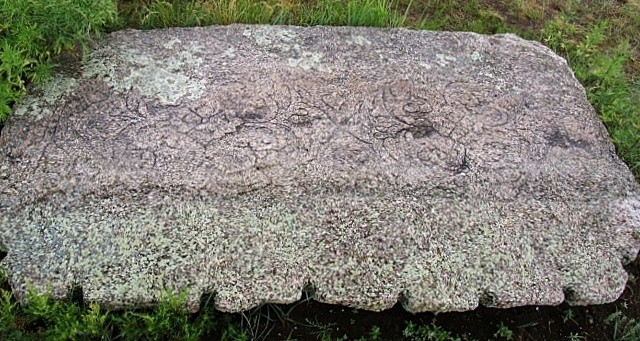 Матриця предків