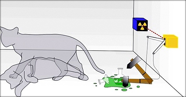 Парадокс кота Шредінгера