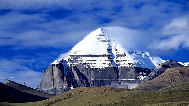 Матриця предків