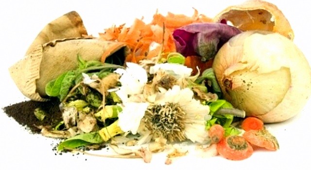 Ліки з продуктових відходів