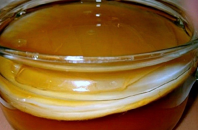 Чайний гриб