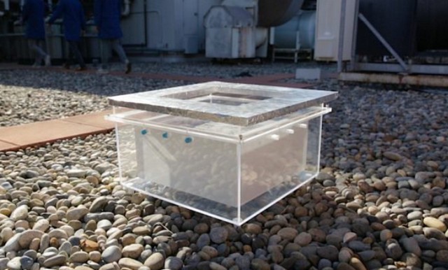 З повітря в пустелі видобули воду