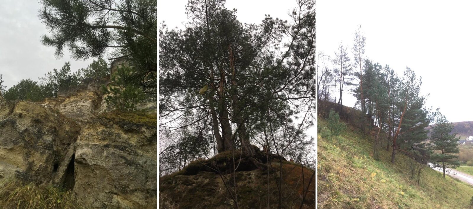 Стільське або Стольсько