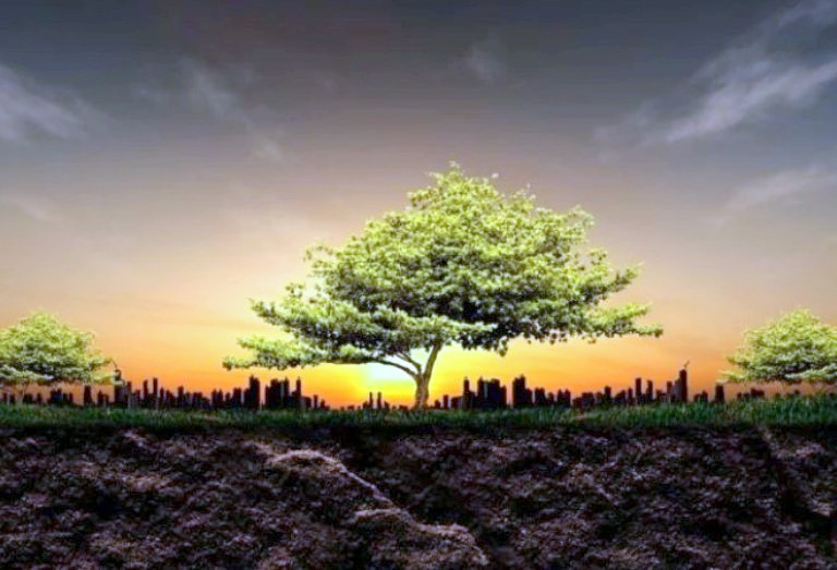 Про підземну екосистему