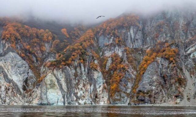 Екологічна катастрофа на Камчатці