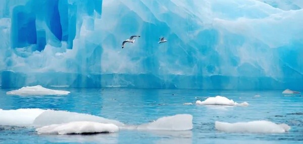 Коли зазеленіє Арктика?