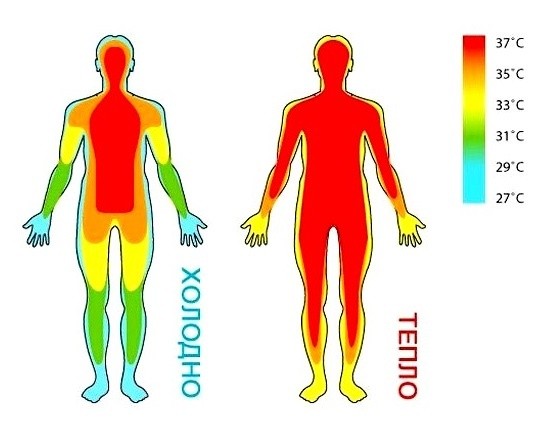 Якщо температура збільшитеся на 1,5 ° C