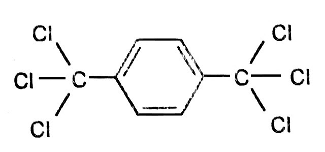 Сисун котячий