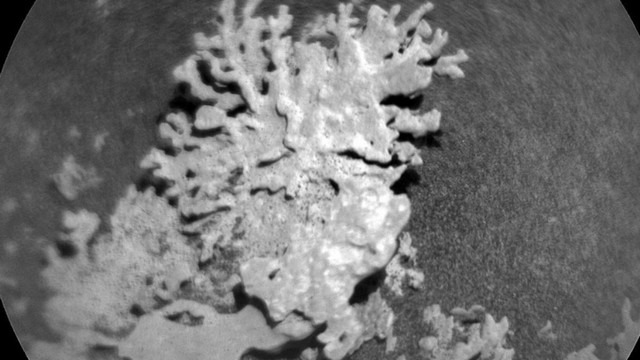 Марсіанське каміння нагадує земні корали