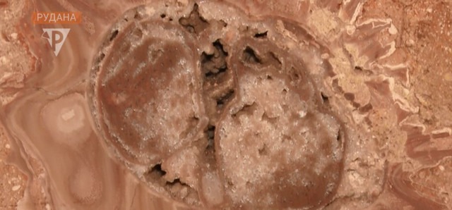 Наступна станція — «Бульвар Юрського періоду»