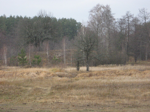 Система белігеративних протяжних валів України