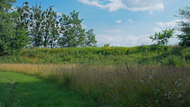 Система белігеративних протяжних валів України