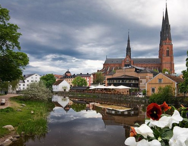 У Швеції стартує виробництво органічної сталі