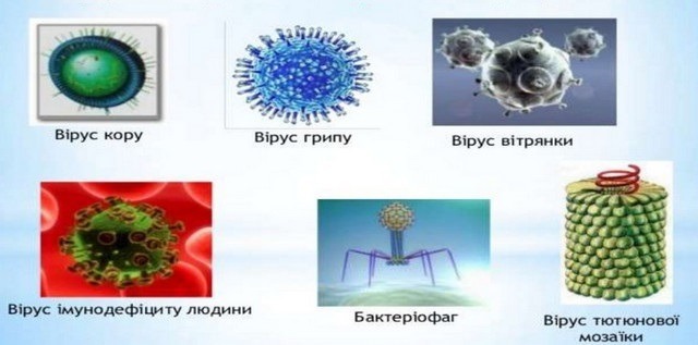 Чому віруси виглядають як ідеальні геометричні фігури?