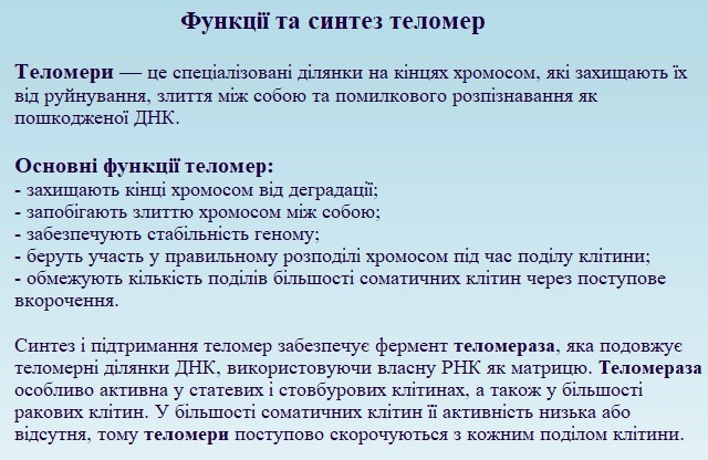 Історія вивчення старіння та відкриття теломер