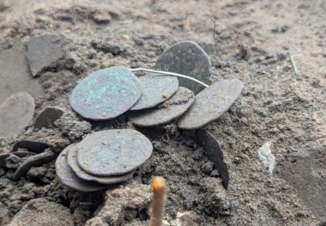 На Полтавщині археологи знайшли скарб із 118 мідних монет XIV століття