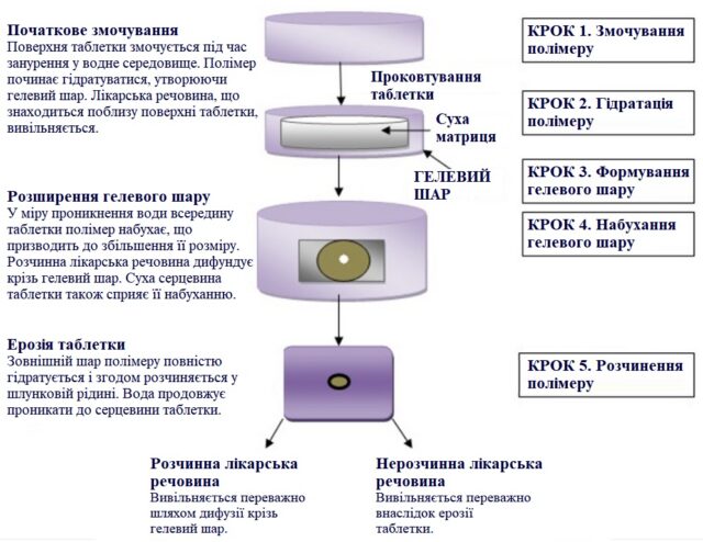 Матричні таблетки: як працює пролонговане вивільнення лікарських речовин