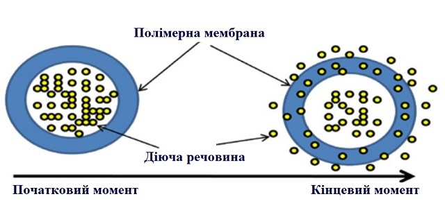 Матричні таблетки: як працює пролонговане вивільнення лікарських речовин